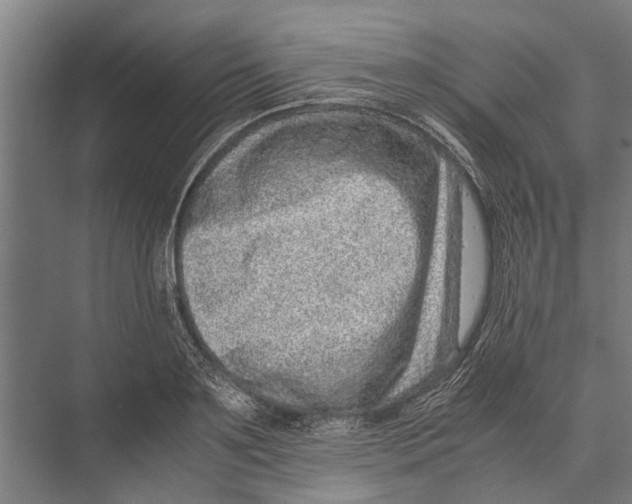 X0000071950891200608041550