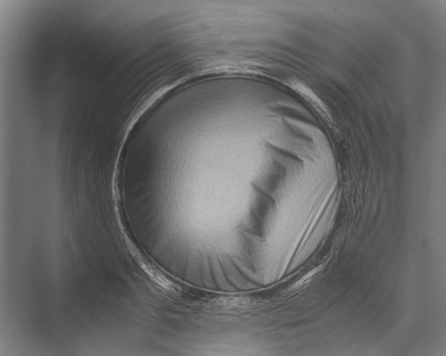 X0000071950893200608041550