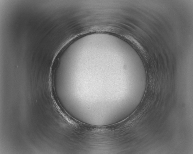 X0000071950894200608041550