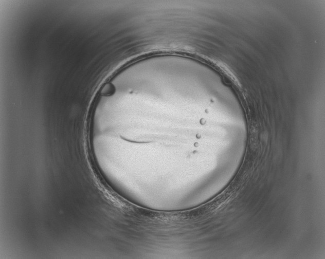 X0000071950895200608041550