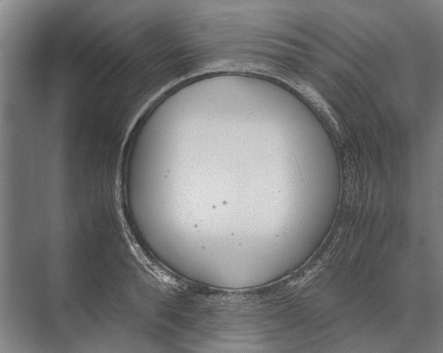 X0000071950896200608041550