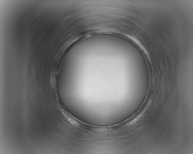 X0000071950897200608041550