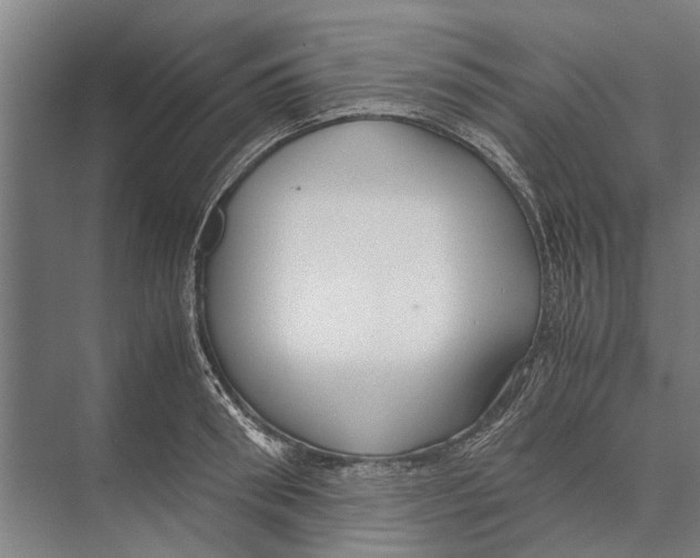 X0000071950898200608041550