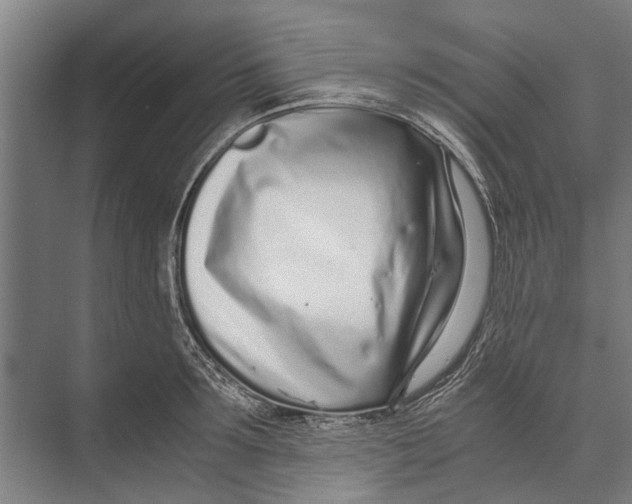 X0000071950899200608041550