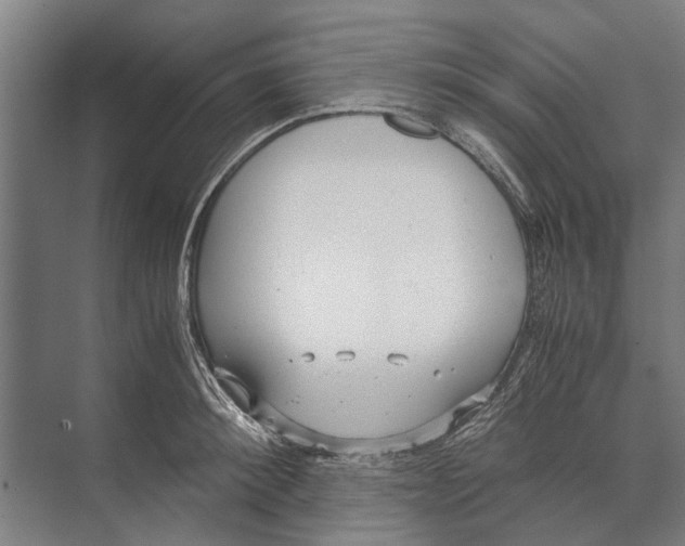 X0000071950900200608041550