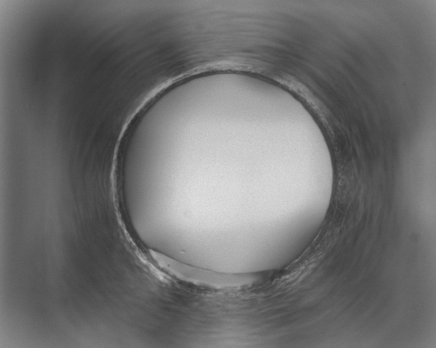 X0000071950902200608041550