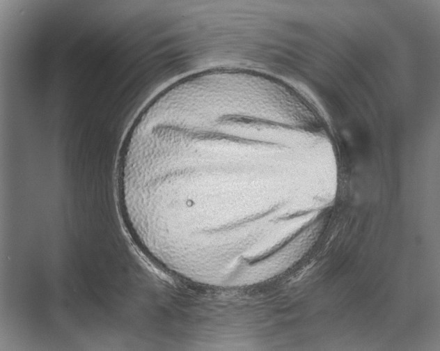 X0000071950903200608041550