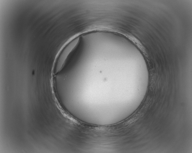 X0000071950904200608041550