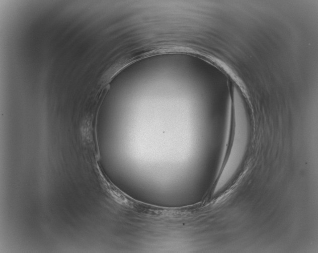 X0000071950905200608041550