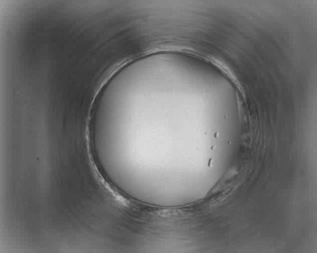 X0000071950906200608041550