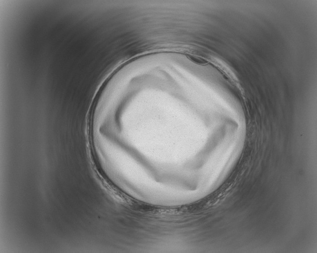 X0000071950907200608041550