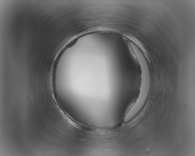 X0000071950910200608041550