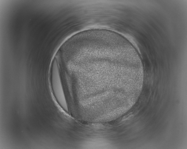 X0000071950911200608041550