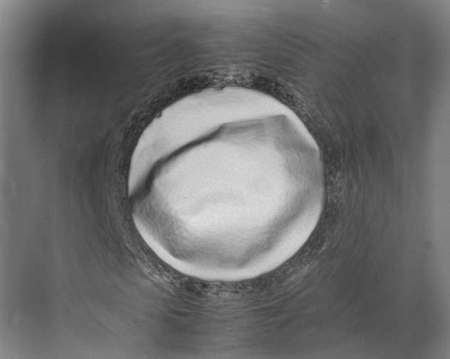 X0000071950913200608041549