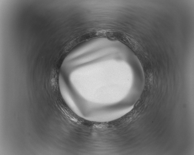 X0000071950914200608041549