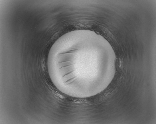 X0000071950915200608041549