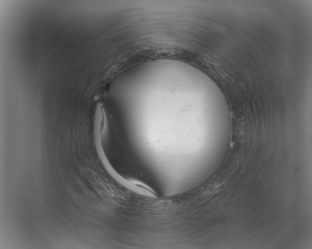 X0000071950916200608041549