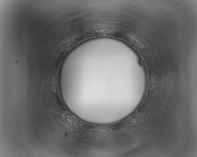 X0000071950917200608041549