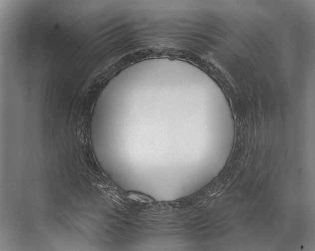 X0000071950919200608041549