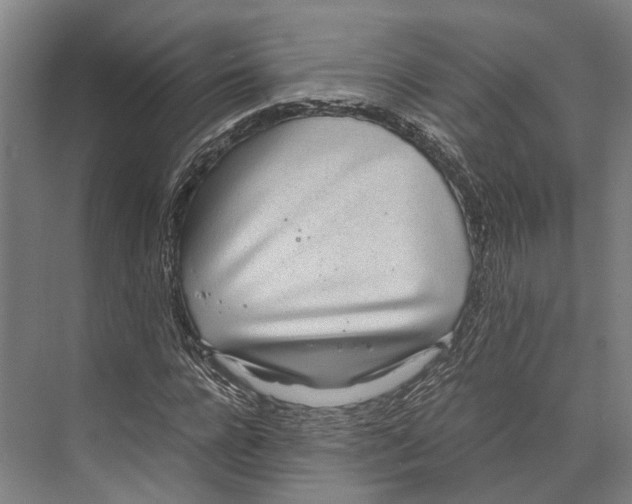 X0000071950920200608041549