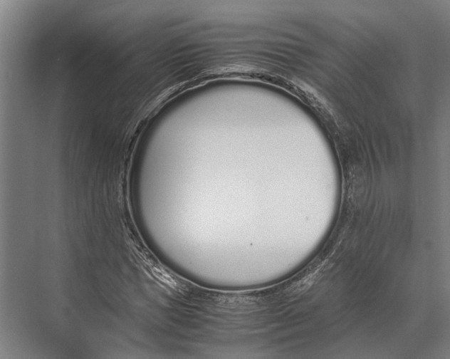 X0000071950921200608041549