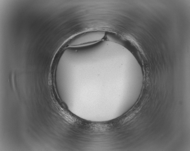 X0000071950924200608041549