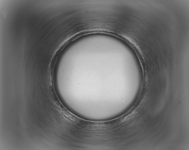 X0000071950925200608041549