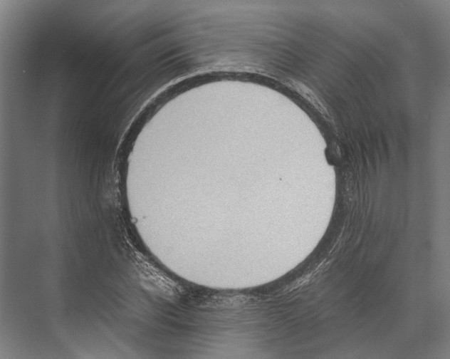 X0000071950926200608041549