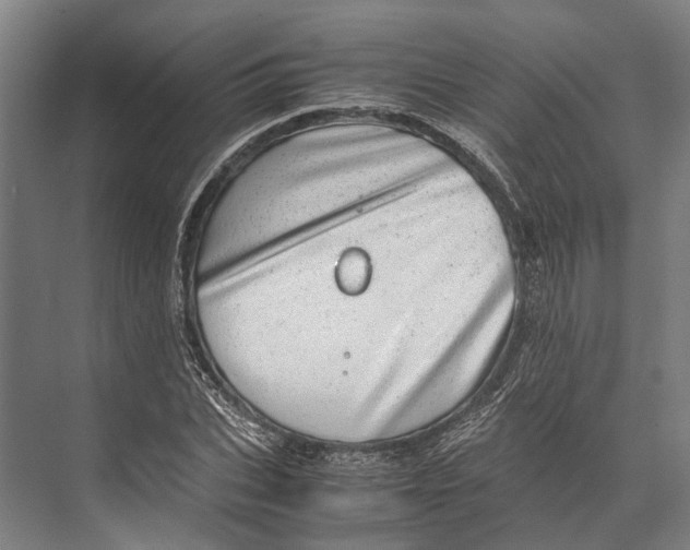 X0000071950927200608041549