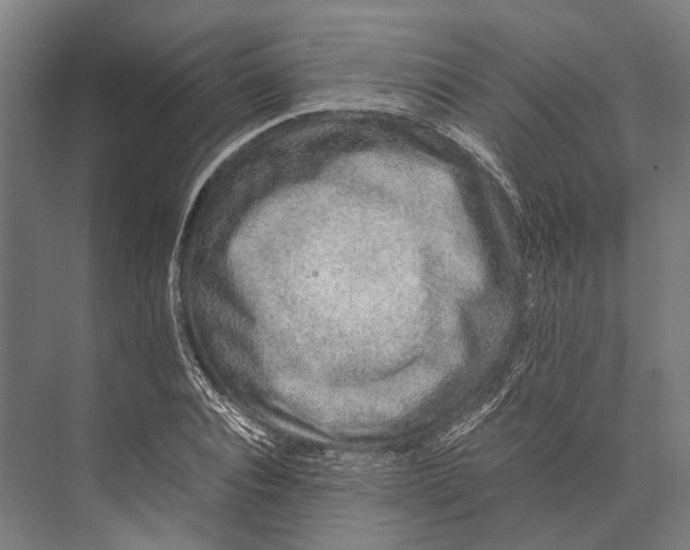 X0000071950928200608041549