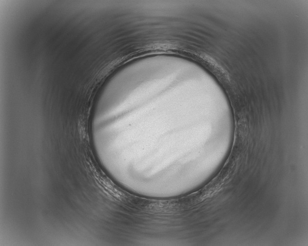 X0000071950929200608041549