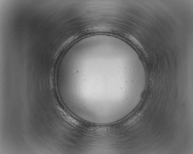 X0000071950930200608041549