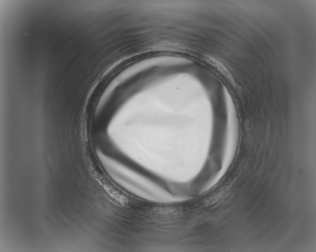 X0000071950931200608041549