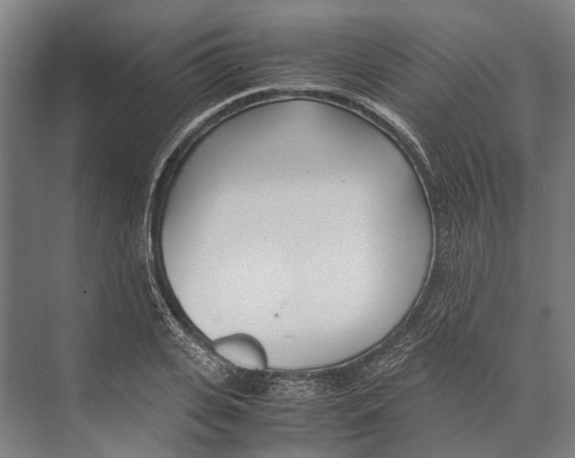 X0000071950935200608041549