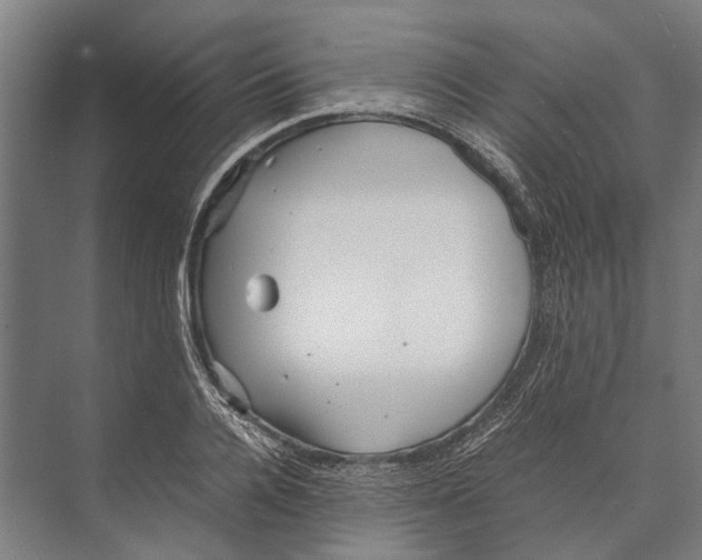 X0000071950936200608041549