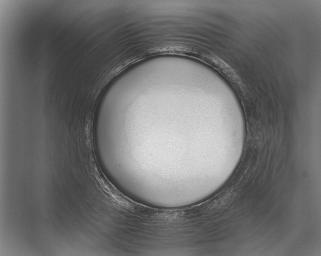 X0000071950937200608041549