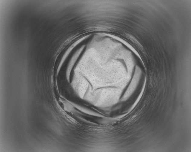 X0000071950938200608041549