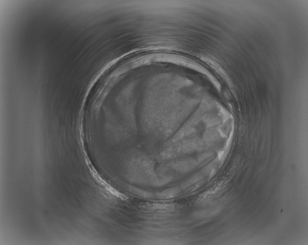 X0000071950941200608041549