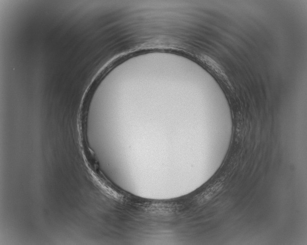 X0000071950942200608041549