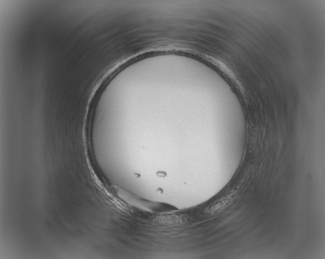 X0000071950943200608041549