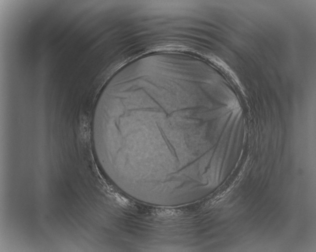 X0000071950945200608041549