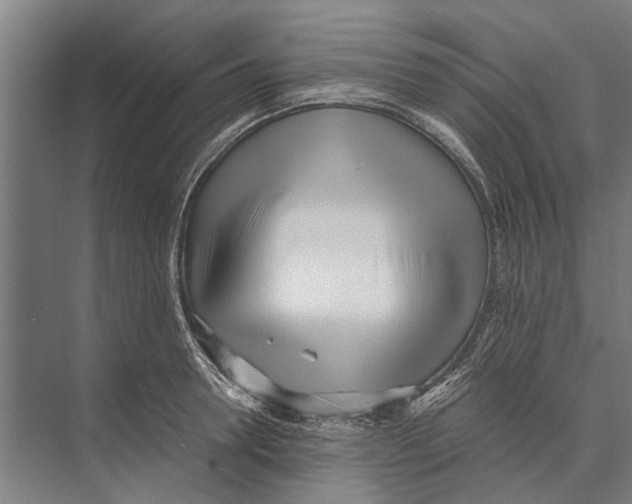 X0000071950946200608041549