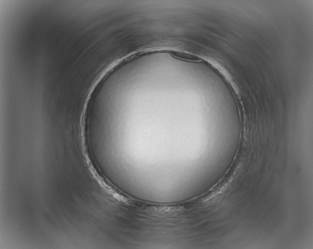 X0000071950949200608041550