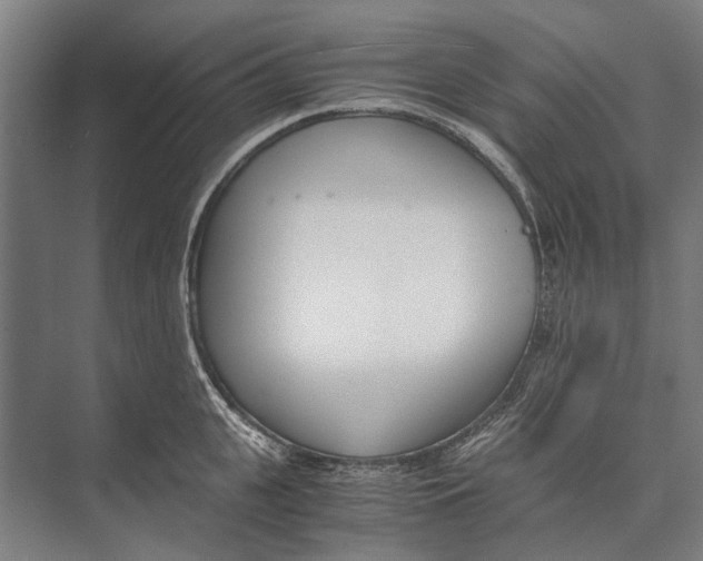 X0000071950951200608041550