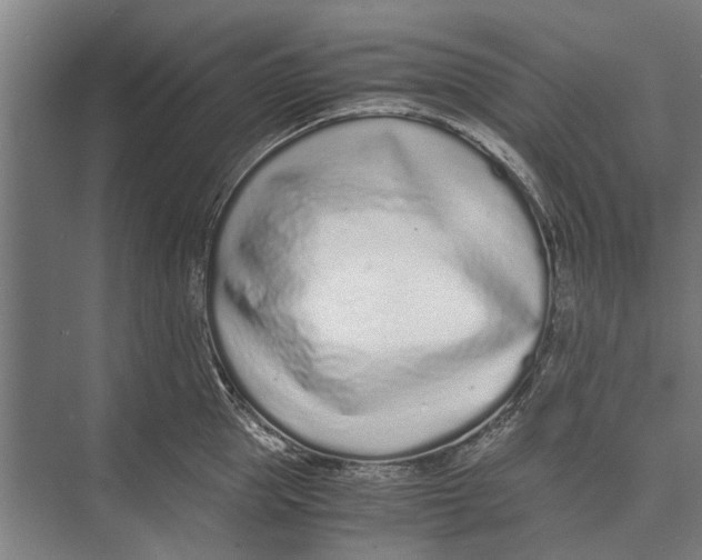 X0000071950953200608041550