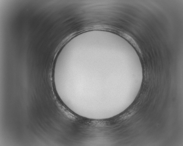 X0000071950954200608041550