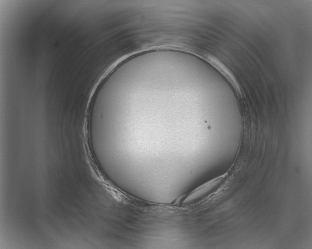 X0000071950956200608041550