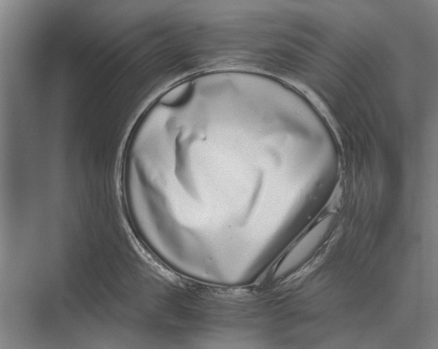 X0000071950957200608041550