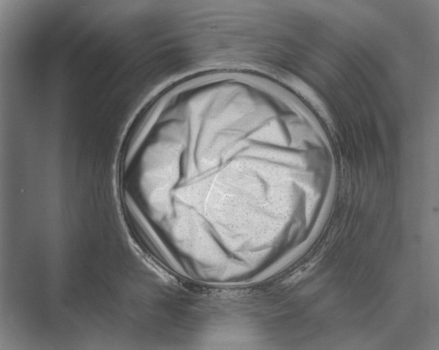 X0000071950958200608041550