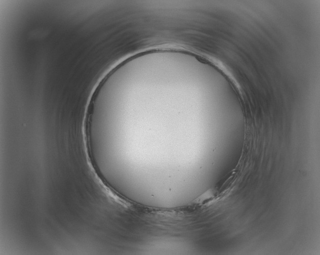 X0000071950959200608041550